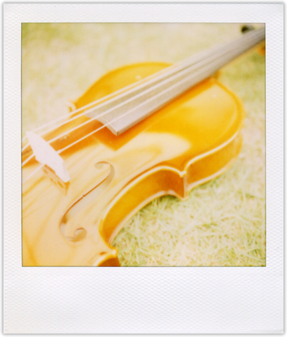 violin