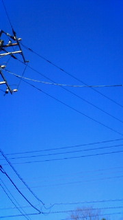 201002070825000.jpg