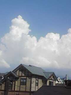 070810_1600~01.jpg