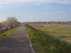 栗原市 若柳 迫川 堤防 土手 散歩 スナップ