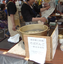岩手・宮城内陸地震 栗原市 花山 復興市