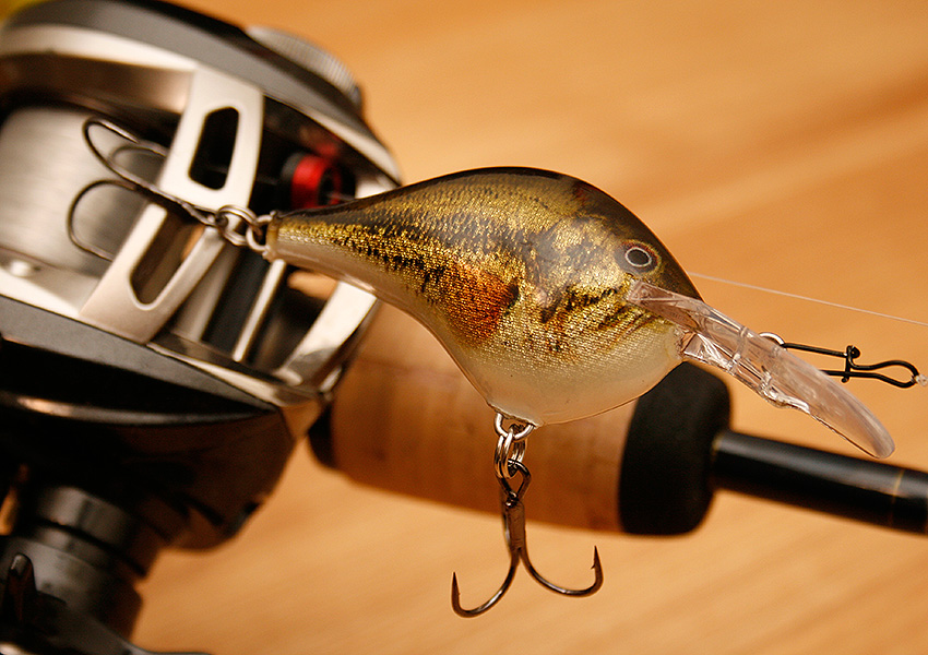 Rapala DT6 Demon & HD Finishes