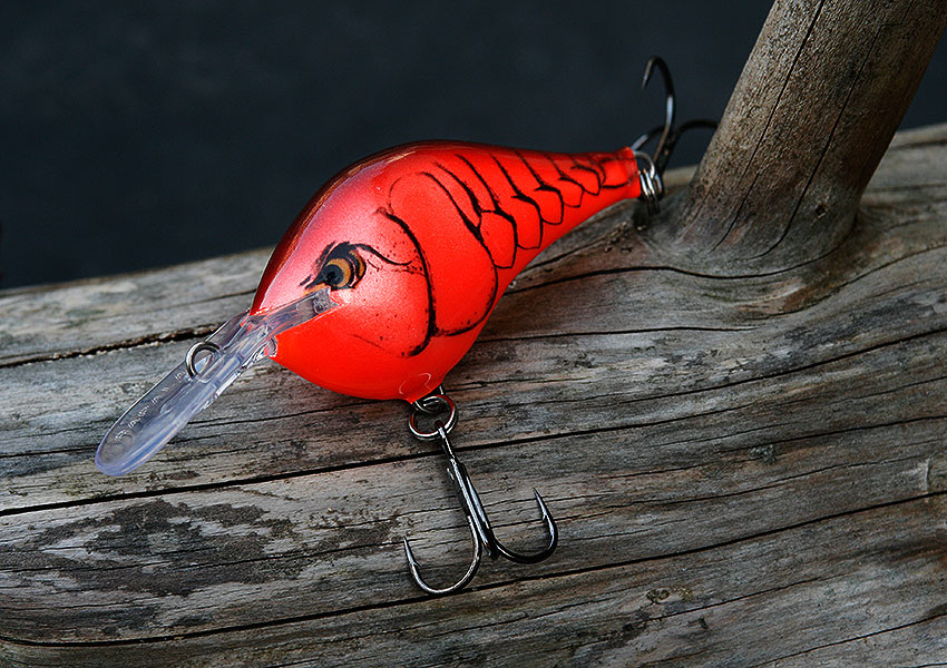Rapala DT6 Demon & HD Finishes | ソラブログ