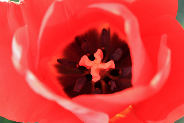 20100926_612395.jpg