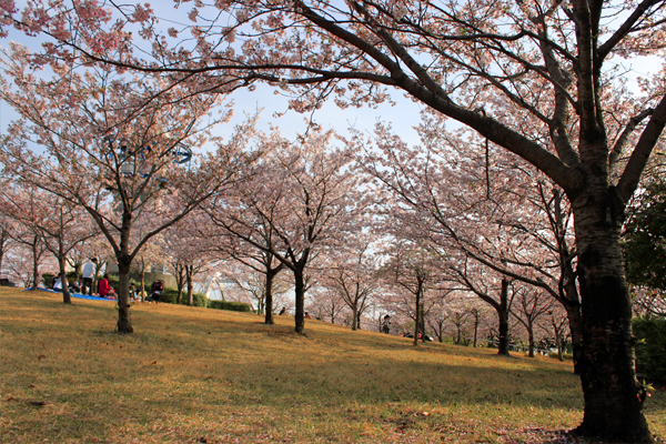 20100927_613308.jpg