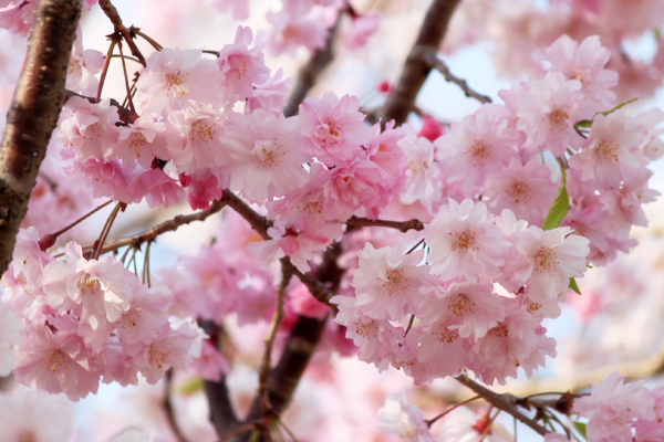 20130214_477659.jpg