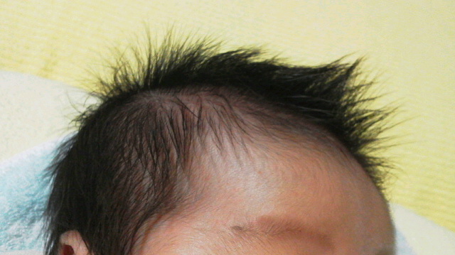 2012091112540001.jpg