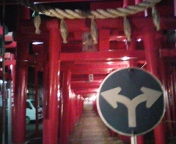 DVC00004.jpg