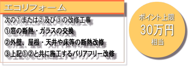 エコポイント 対象