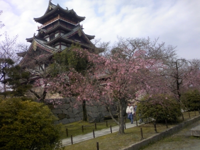 伏見桃山城2010