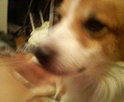 200708172023000.jpg