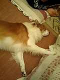 070901_2157~0001.jpg