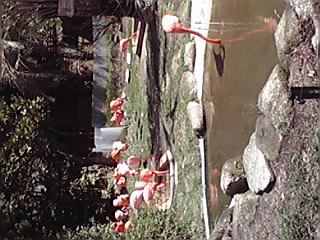 09-03-20_007.jpg