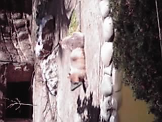 09-03-20_009.jpg