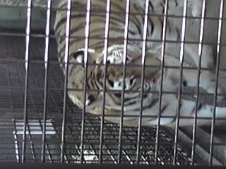 09-03-20_011.jpg