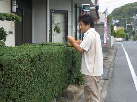 バリバリ〜
