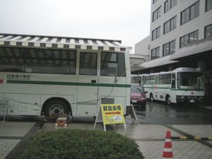 雨
