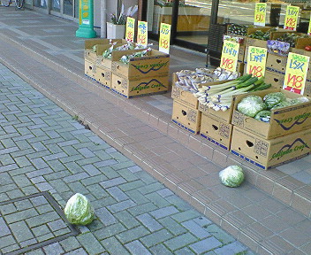 201005131145000.jpg