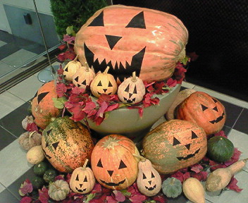 201110181522000.jpg