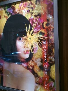 rps20130202_225018.jpg