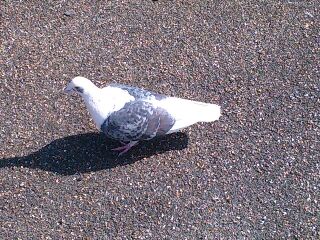 rps20130306_185659.jpg