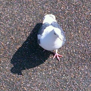 rps20130226_115245.jpg