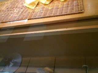 rps20130327_122654.jpg
