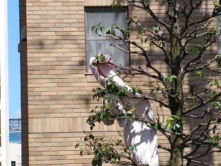 rps20130411_133151.jpg
