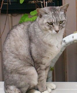 rps20130613_001821.jpg