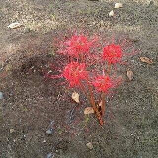 rps20130926_155213.jpg