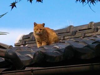 rps20131215_182909.jpg