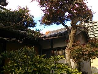 rps20131215_182935.jpg