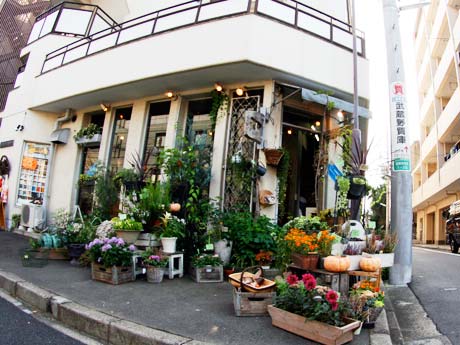吉祥寺 花屋 Botanique ボタニーク