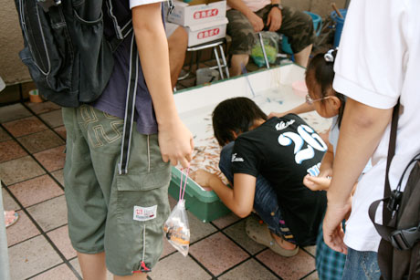 第35回 ふれあい夏祭り 金魚すくい