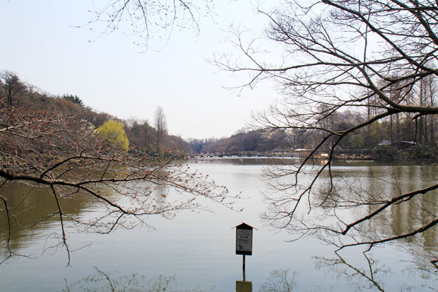 井の頭公園