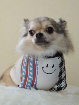 DSCN0068.jpg
