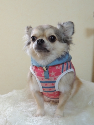 DSCN0078.jpg