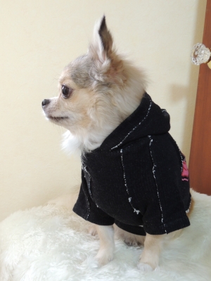 DSCN0070.jpg