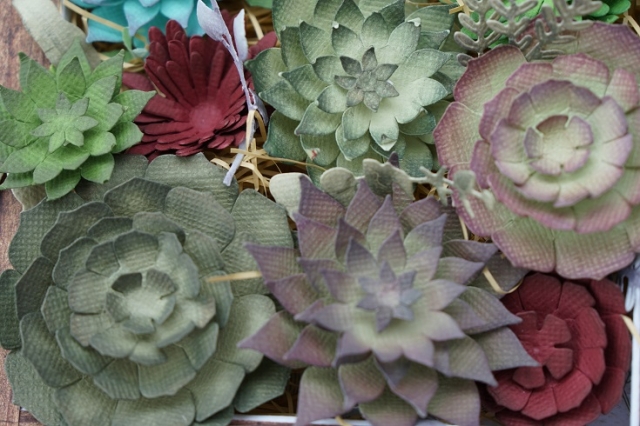DSC06750-3.jpg