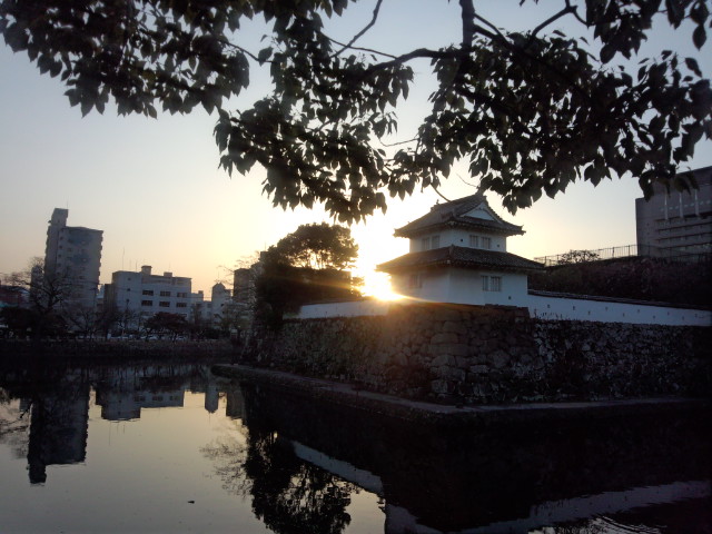 DSC_0633.jpg