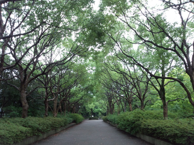 DSC_0902.jpg