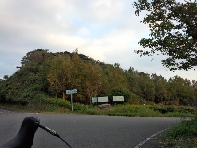 DSC_0979.jpg