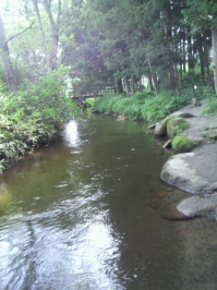 川