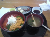 雲丹丼