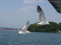 バイク旅(松島港)1