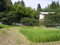 バイク旅(平泉町)1