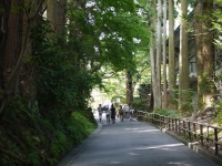 バイク旅(平泉町)2