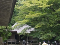 バイク旅(平泉町)4
