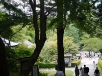 バイク旅(平泉町)7