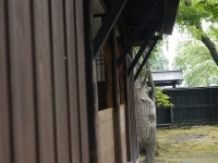 バイク旅(角館)